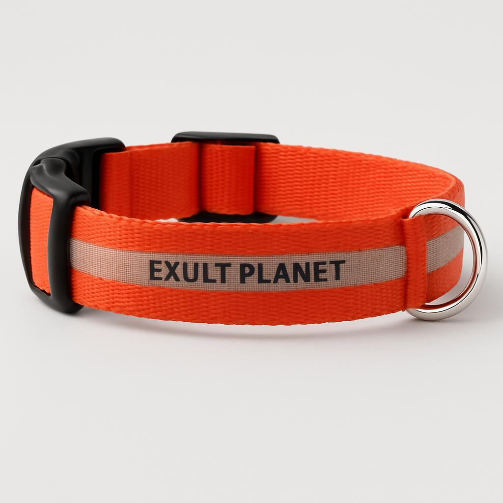 Eco-Friendly LED Safety Dog Collar