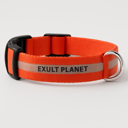 Eco-Friendly LED Safety Dog Collar