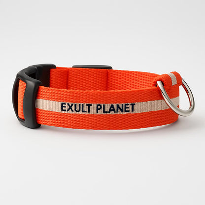 Eco-Friendly LED Safety Dog Collar