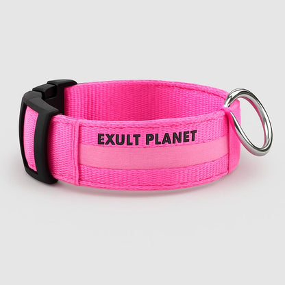 Eco-Friendly LED Safety Dog Collar