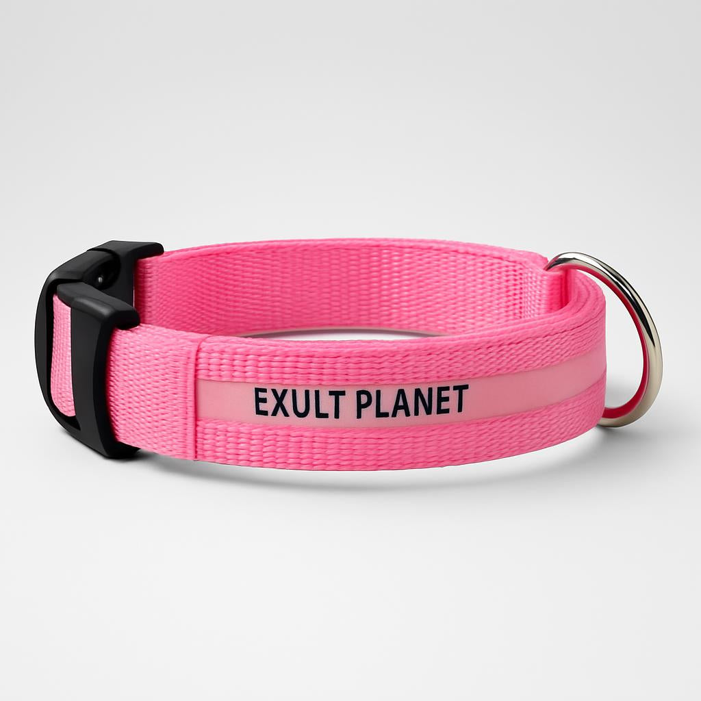 Eco-Friendly LED Safety Dog Collar