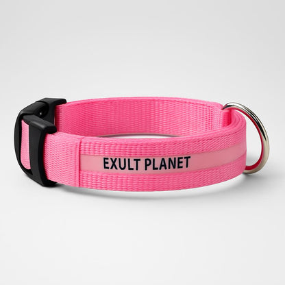 Eco-Friendly LED Safety Dog Collar