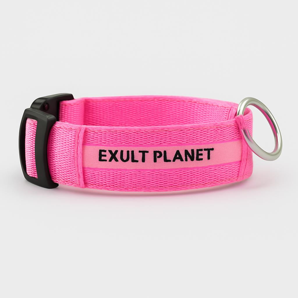 Eco-Friendly LED Safety Dog Collar