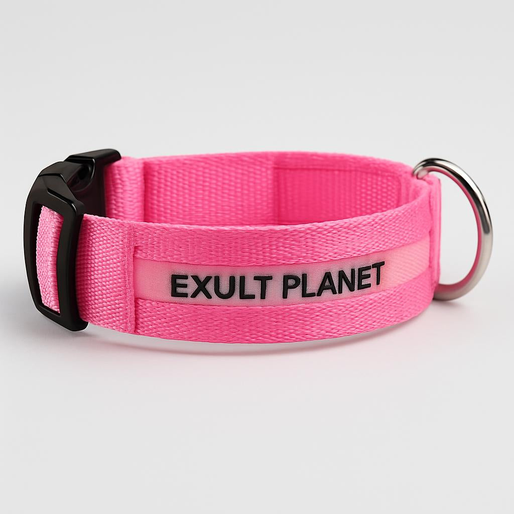 Eco-Friendly LED Safety Dog Collar