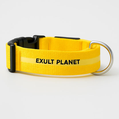 Eco-Friendly LED Safety Dog Collar