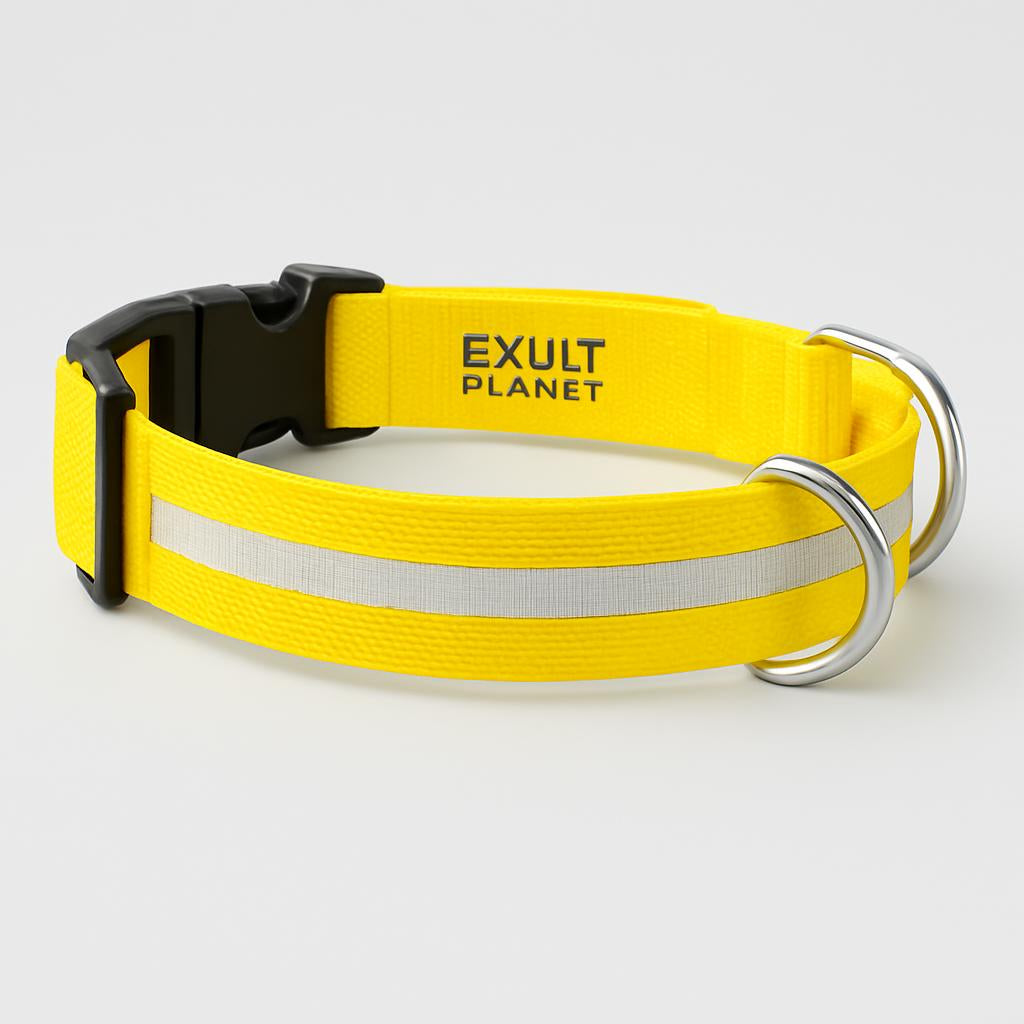 Eco-Friendly LED Safety Dog Collar