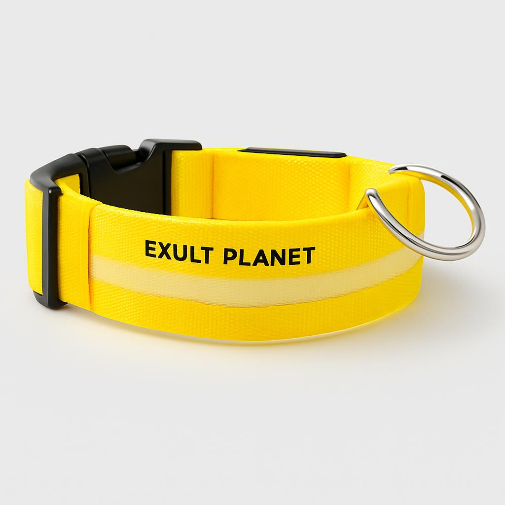 Eco-Friendly LED Safety Dog Collar