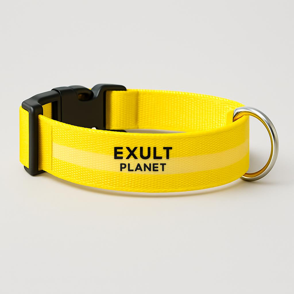 Eco-Friendly LED Safety Dog Collar