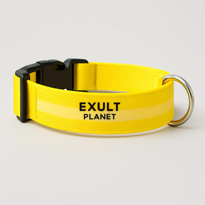 Eco-Friendly LED Safety Dog Collar