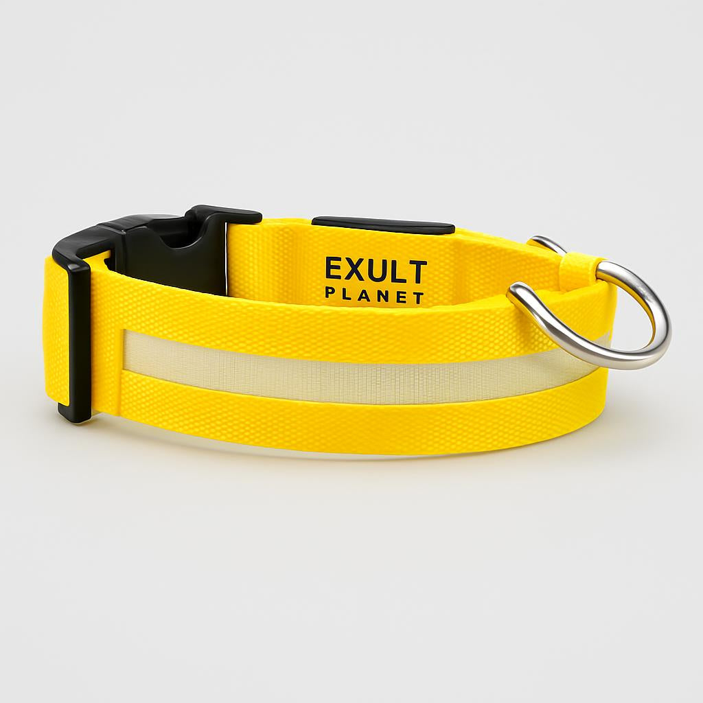 Eco-Friendly LED Safety Dog Collar