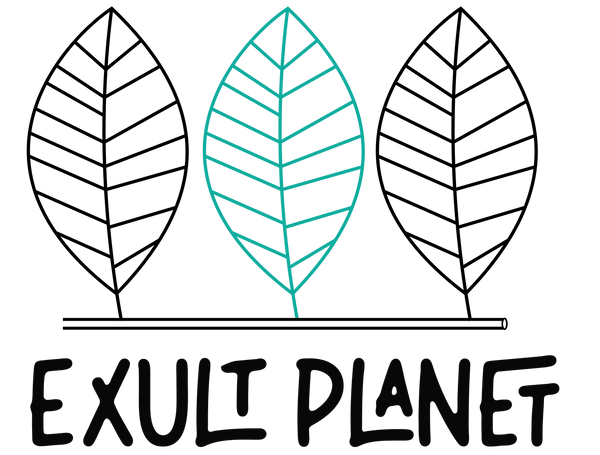 New Logo ExultPlanet