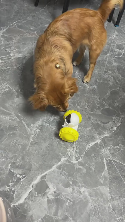 Interactive Slow Feeder Toy for Cats & Dogs – Balance Car Puzzle