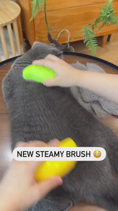 3-in-1 Pet Steam Brush – USB Rechargeable Grooming Comb for Cats & Dogs