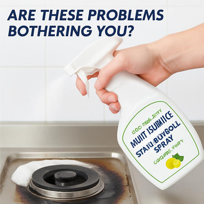 Eco-Friendly Multi-Surface Stain Removal Spray - Citrus-Mint Scent