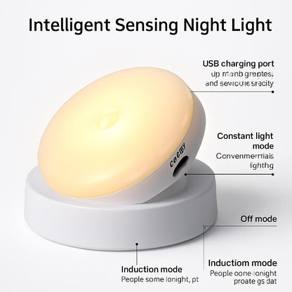 Night Time Motion Sensor LED Light - Eco-Friendly & Energy Efficient