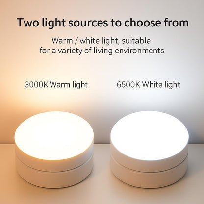 Night Time Motion Sensor LED Light - Eco-Friendly & Energy Efficient