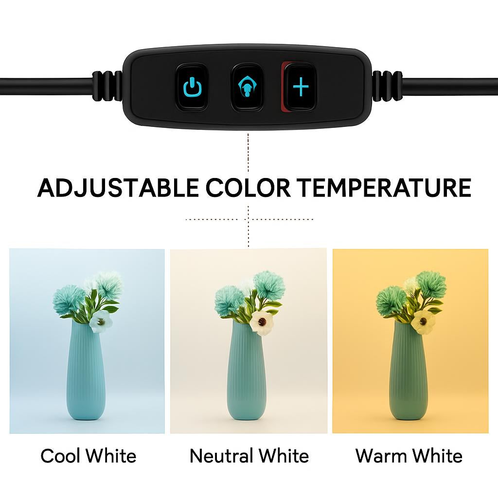 Portable Photo Studio Light Box with Multi-Colored Backdrops