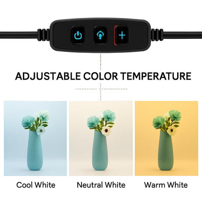 Portable Photo Studio Light Box with Multi-Colored Backdrops