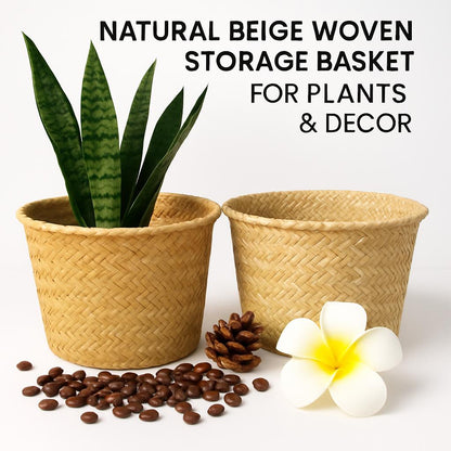 Natural Beige Woven Storage Basket for Plants & Decor