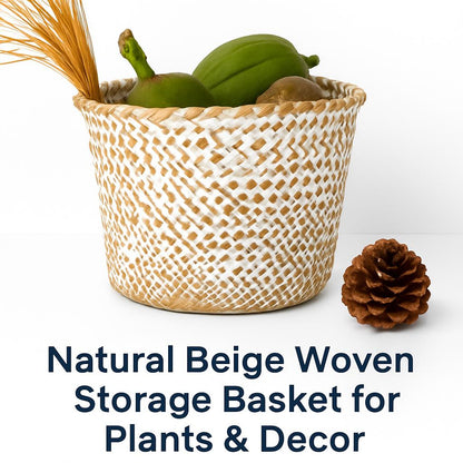 Natural Beige Woven Storage Basket for Plants & Decor