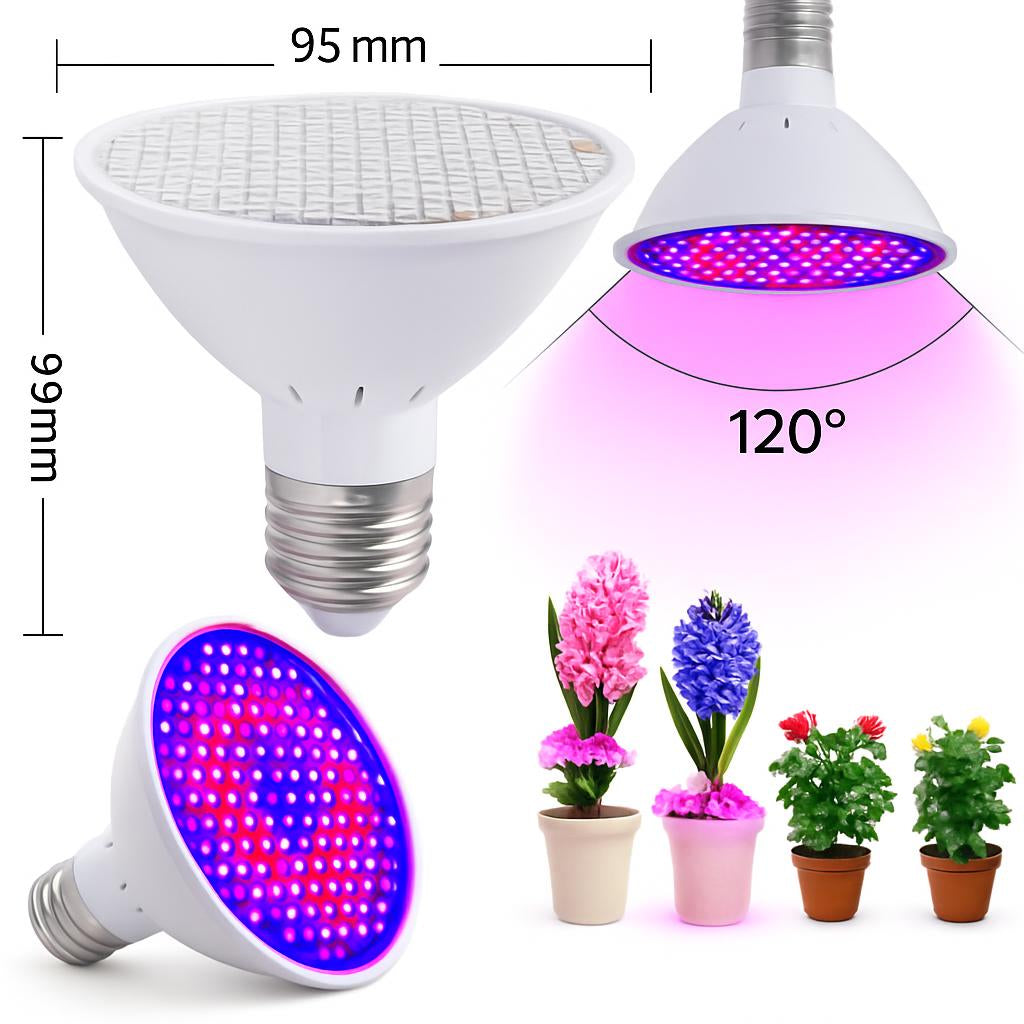 Energy-Efficient Indoor LED Grow Light Bulb with White Casing and Red and Blue LED Lights