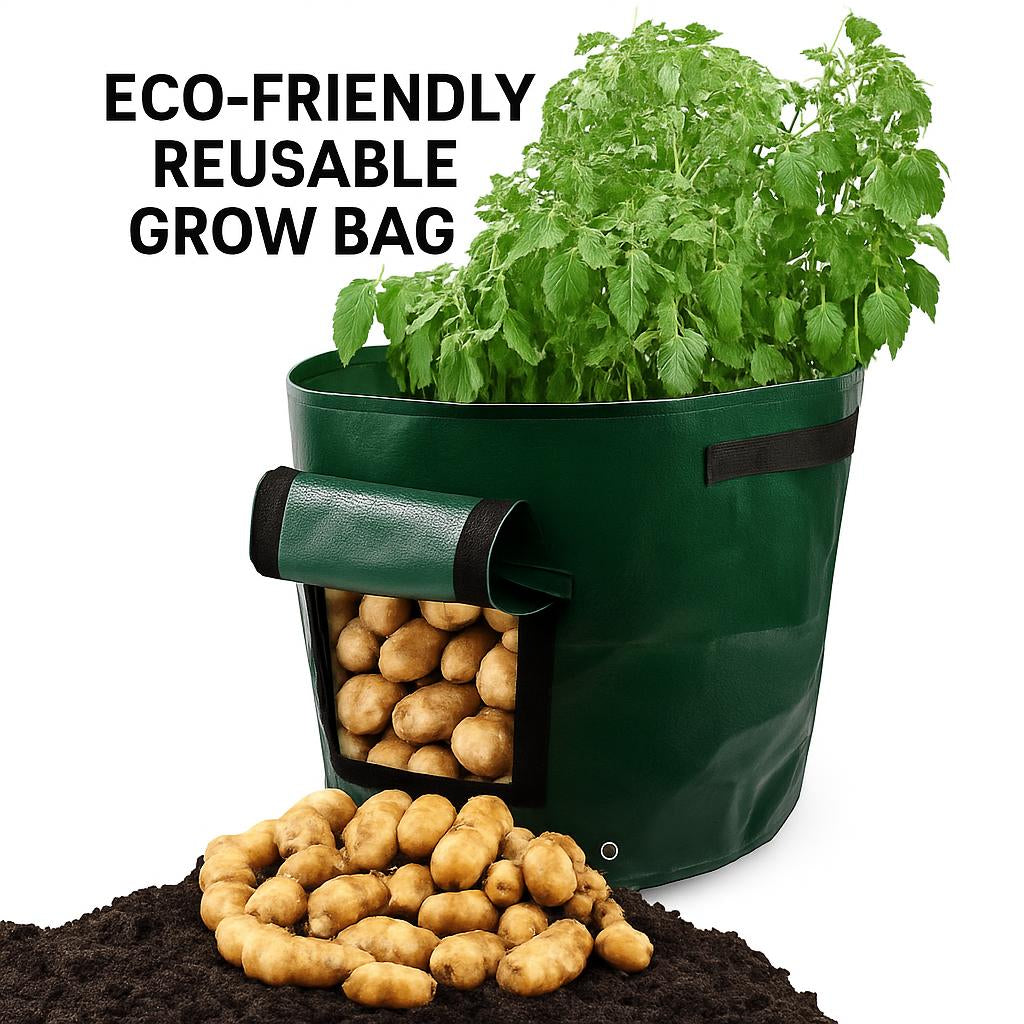 Eco-Friendly Reusable Grow Bag for Urban Gardening