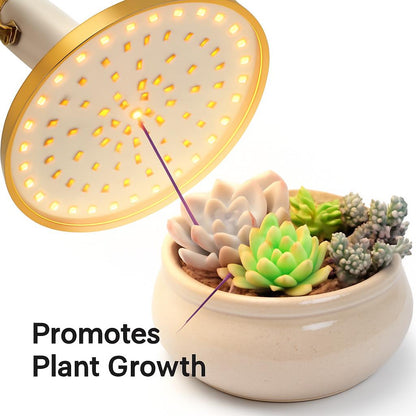 Energy-Efficient LED Planet Grow Light for Indoor Plants