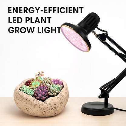 Energy-Efficient LED Planet Grow Light for Indoor Plants
