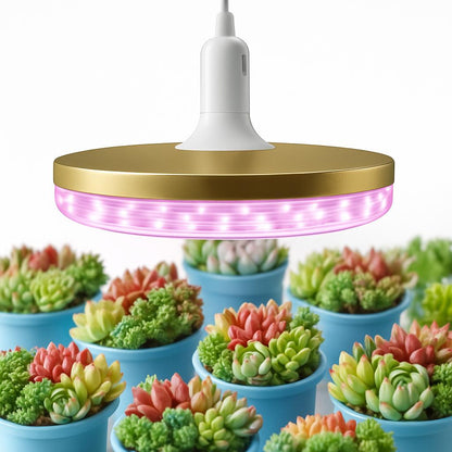 Energy-Efficient LED Planet Grow Light for Indoor Plants
