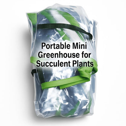Portable Mini Greenhouse for Succulent Plants
