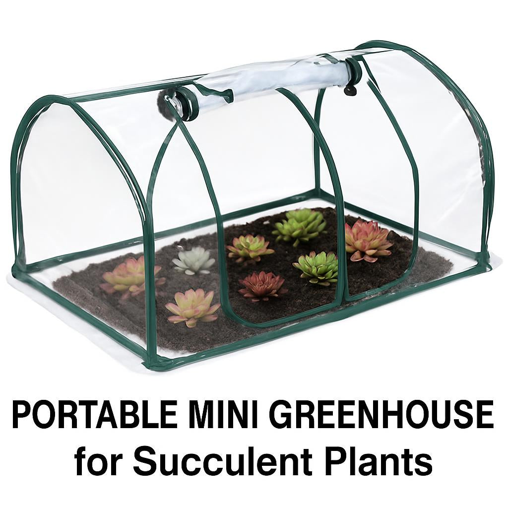 Portable Mini Greenhouse for Succulent Plants