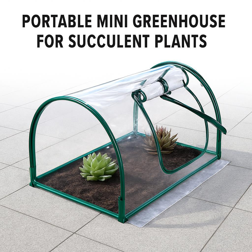 Portable Mini Greenhouse for Succulent Plants