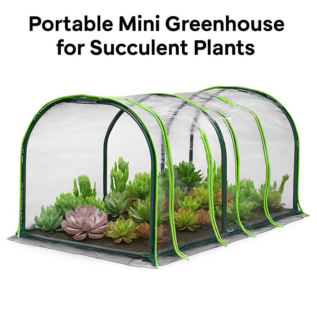 Portable Mini Greenhouse for Succulent Plants