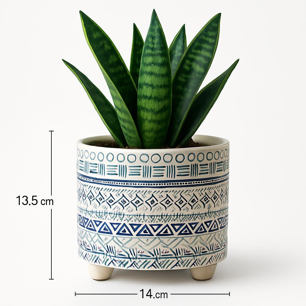 Eco-Friendly Ceramic Planters for Balcony & Garden