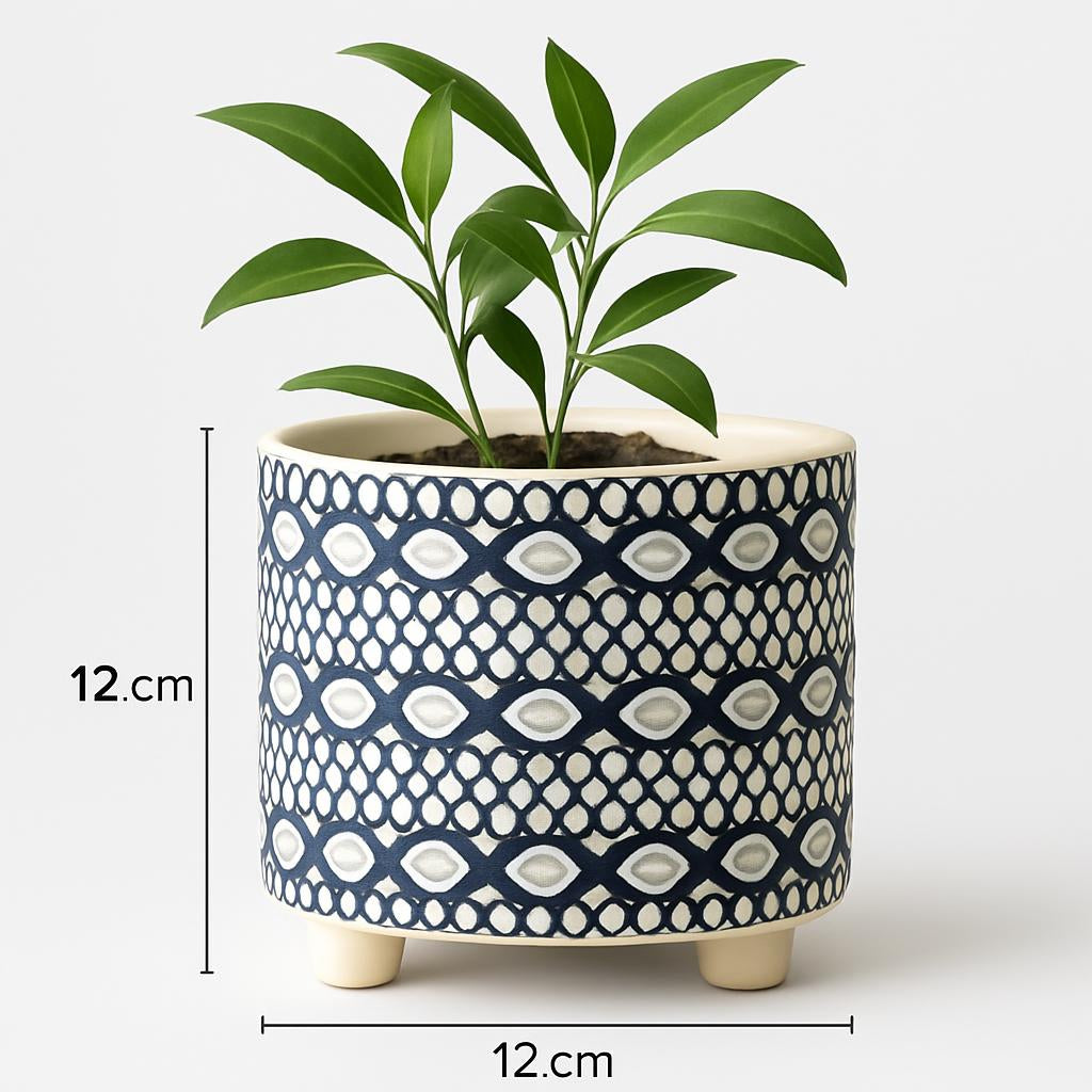 Eco-Friendly Ceramic Planters for Balcony & Garden