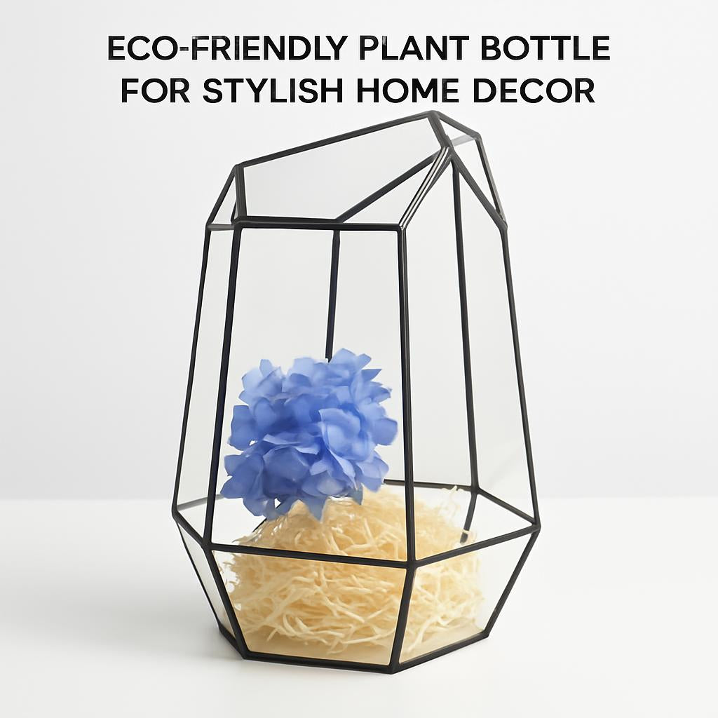 Geometric glass terrarium with clear glass and black metal edges