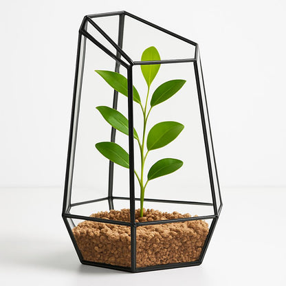 Eco-Friendly Plant Bottle for Stylish Home Decor