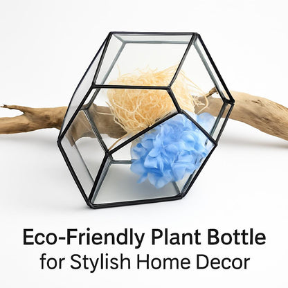 Eco-Friendly Plant Bottle for Stylish Home Decor
