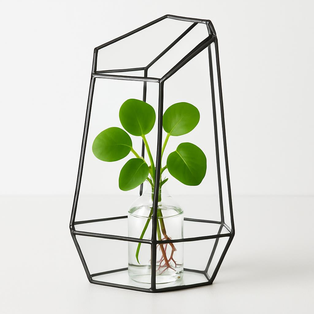 Eco-Friendly Plant Bottle for Stylish Home Decor