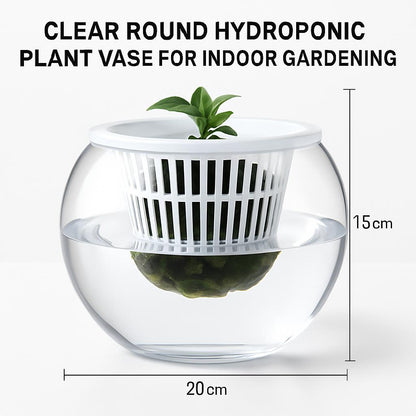 Clear Round Hydroponic Plant Vase for Indoor Gardening