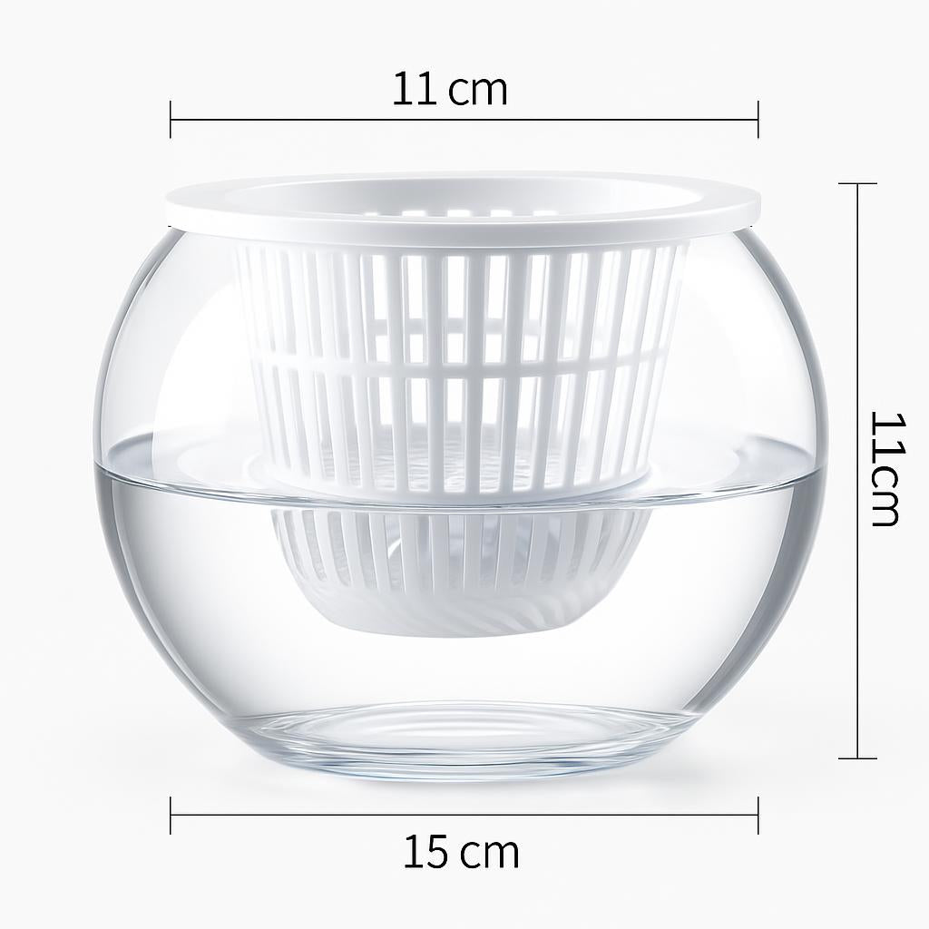 Clear Round Hydroponic Plant Vase for Indoor Gardening