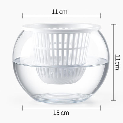 Clear Round Hydroponic Plant Vase for Indoor Gardening