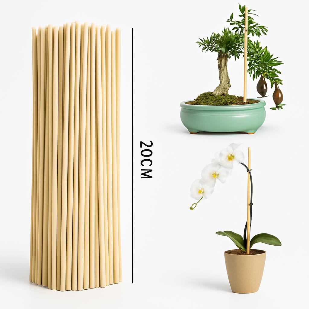 Eco-Friendly Bamboo Plant Support Sticks for Sustainable Gardening