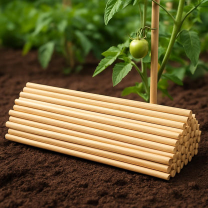 Eco-Friendly Bamboo Plant Support Sticks - Sustainable Garden Accessory