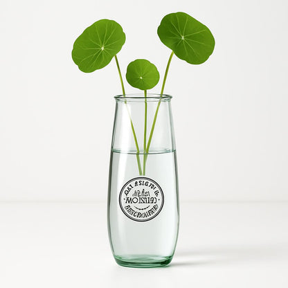 Eco-Friendly Clear Glass Tumblers - Sustainable Drinkware for a Greener Home