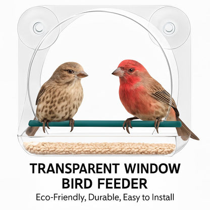 Transparent Window Bird Feeder - Eco-Friendly, Durable, Easy to Install