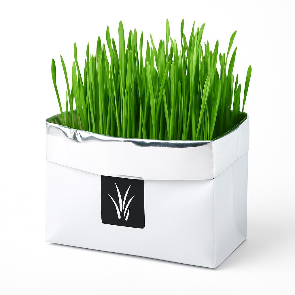 Eco-Friendly Indoor Plant Growing Kit