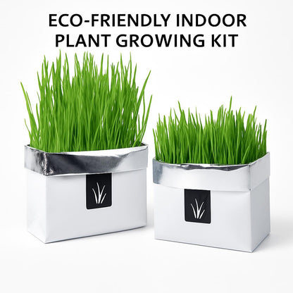 Eco-Friendly Indoor Plant Growing Kit