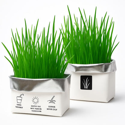 Eco-Friendly Indoor Plant Growing Kit