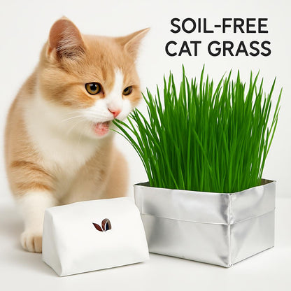 Eco-Friendly Indoor Plant Growing Kit